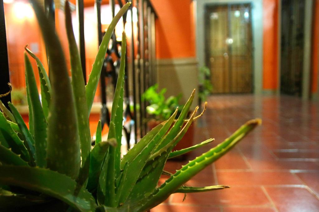 Parador San Fernando Oaxaca Exterior photo
